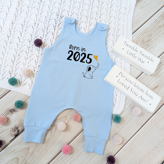 Flatlay-blue-long-leg-romper-with-phrase-born-in-2025-on-front-along-with-cute-elephant-blowing-a-glitter-heart-bubble-blanket-pom-poms-wooden-blocks-for-props