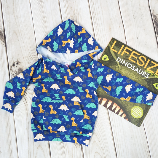 flatlay-hoodie-with-dino-print-and-book-for-decoration